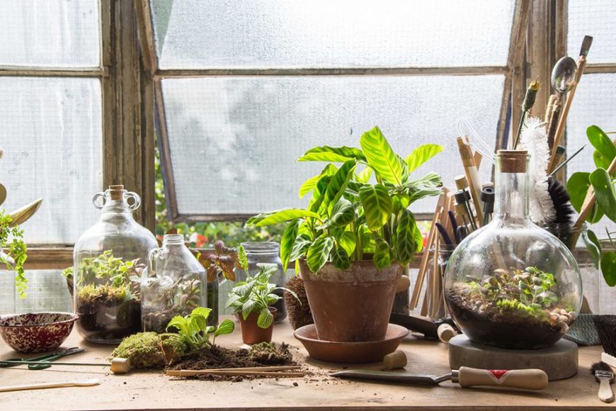 培育一座玻璃瓶內的小型生態村：London Terrariums POLYSH