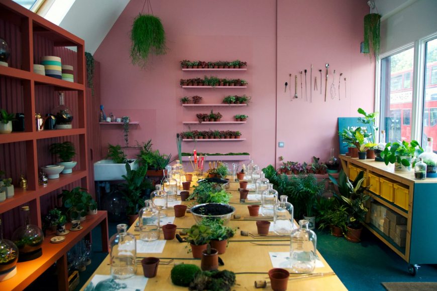 培育一座玻璃瓶內的小型生態村：London Terrariums POLYSH
