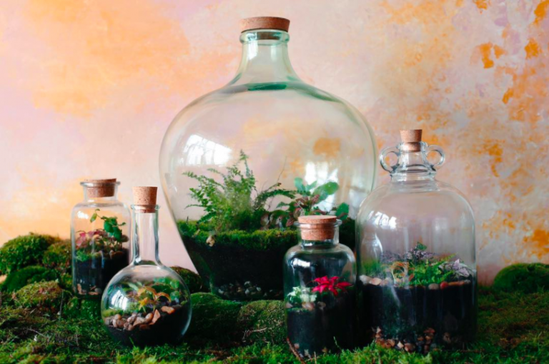 培育一座玻璃瓶內的小型生態村：London Terrariums POLYSH