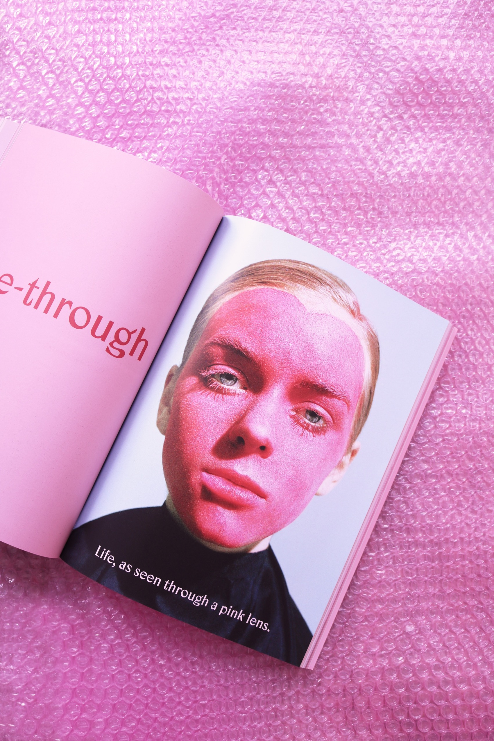 Pink Insight INSPIRATION|因為迷戀,所以做了這樣的傻事:顏色、毛髮、舊家具,3 本不小心做出名堂的獨立雜誌 - POLYSH